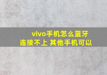 vivo手机怎么蓝牙连接不上 其他手机可以